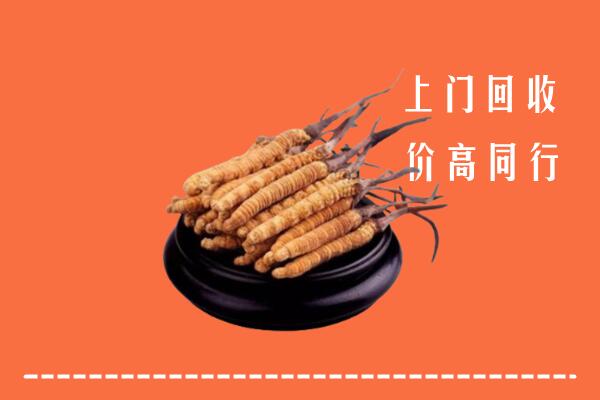高价求购：泰顺县回收散虫草