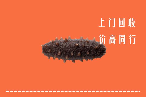 泰顺县回收海参